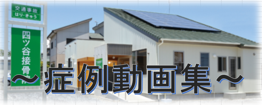 %e7%97%87%e4%be%8b%e5%8b%95%e7%94%bb%e9%9b%86 | 豊川市四ツ谷接骨院 【交通事故治療】 【スポーツ障害】